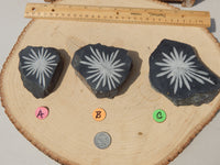 Chrysanthemum Flower Stones, Natural Flower Chrysanthemum Stone, Flower Stone, Flower Stone Free Form, ,