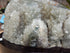 RARE** Green Amethyst Druzy Crystal Cluster Geode & Polished agate w/stand, *RARE*