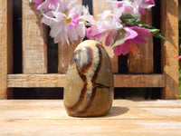 Septarian Dragon Crystal Stone Freeform Display, Freeform Septarian Stone Display
