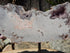 Pink Amethyst,**New Find**  Pink Amethyst Slab, Pink Amethyst Cluster, Pink Amethyst from Argentina, Rose Amethyst