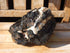 Black Tourmaline Crystal Display, Raw Black Tourmaline Stone, Black Crystal Tourmaline