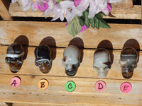 Rare** Black Carnelian Quartz Crystal Carved Stone Skull 2&quot;, Crystal Black Carnelian Stone Skull, Black Carnelian Carved Skull,Carnelian