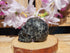 Coral Fossil Crystal Carved Stone Skull 2&quot;, Fossil Coral Skull Crystal, Crystal Coral Fossil Skull