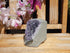 Amethyst Crystal Cluster Display Cut Base, Crystal Amethyst Cluster, Cluster Amethyst Crystal Display