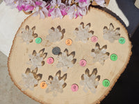 Quartz Crystal Point Flower Cluster, Flower Quartz Crystal Point Cluster, Point Cluster Crystal Quartz Flower