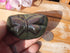 Rainbow Obsidian Butterfly Stone, Obsidian Rainbow Butterfly, Rainbow Butterfly Stone