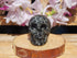 Coral Fossil Crystal Carved Stone Skull 2&quot;, Fossil Coral Skull Crystal, Crystal Coral Fossil Skull