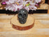 Coral Fossil Crystal Carved Stone Skull 2&quot;, Fossil Coral Skull Crystal, Crystal Coral Fossil Skull