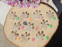 Quartz Crystal Point Flower Cluster, Flower Quartz Crystal Point Cluster, Point Cluster Crystal Quartz Flower