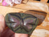 Rainbow Obsidian Butterfly Stone, Obsidian Rainbow Butterfly, Rainbow Butterfly Stone