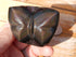 Rainbow Obsidian Butterfly Stone, Obsidian Rainbow Butterfly, Rainbow Butterfly Stone