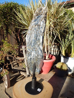 Blue Kyanite Raw w/Tourmaline & rotating stand, Kyanite Tourmaline Chakra Stone, Healing Crystal, Raw Kyanite, Kyanite tourmaline Display