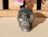 Crinoid Fossil Crystal Carved Stone Skull 3&quot;, Carved Crinoid Fossil Skull, Stone Crinoid Fossil Skull, Carved Fossil Crinoid Stone Skull