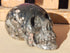 Crinoid Fossil Crystal Carved Stone Skull 3&quot;, Carved Crinoid Fossil Skull, Stone Crinoid Fossil Skull, Carved Fossil Crinoid Stone Skull