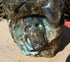 RARE**Labradorite 4 Skull Free Form Display, Polished Labradorite 4 Skull Crystal Free Form, 4 Skull Labradorite Free Form Crystal