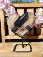 Petrified Wood Heart on stand, Heart Petrified Wood, Petrified Heart Wood, Heart Wood Petrified, Wood Heart Petrified