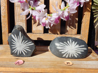 Chrysanthemum Flower Stones, Natural Flower Chrysanthemum Stone, Flower Stone, Flower Stone Free Form, ,