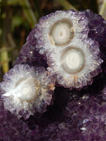 Amethyst Crystal Cluster Display Cut Base, Crystal Amethyst Cluster, Cluster Amethyst Crystal Display