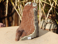 Amethyst Druzy Rainbow Crystal Cut Base, Druzy Crystal Rainbow Amethyst Cluster, Rainbow Druzy Amethyst Crystal Display, Rainbow Amethyst