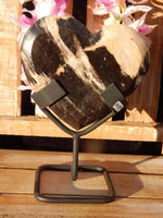 Petrified Wood Heart on stand, Heart Petrified Wood, Petrified Heart Wood, Heart Wood Petrified, Wood Heart Petrified