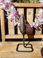 Petrified Wood Heart on stand, Heart Petrified Wood, Petrified Heart Wood, Heart Wood Petrified, Wood Heart Petrified