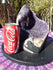 Amethyst Crystal Cluster Display Cut Base, Crystal Amethyst Cluster, Cluster Amethyst Crystal Display, Crystal Cluster Amethyst Display