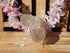 Clear Crystal Quartz Cluster, Crystal Cluster, Clear Quartz Cluster