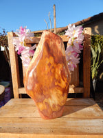 Petrified Wood Free Form Display, Free Form Petrified Wood Display, Petrified Wood Home Decor