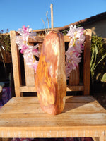 Petrified Wood Free Form Display, Free Form Petrified Wood Display, Petrified Wood Home Decor