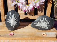 Chrysanthemum Flower Stones, Natural Flower Chrysanthemum Stone, Flower Stone, Flower Stone Free Form, ,