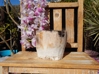 Petrified Wood Candle holder, Wood Petrified Candle Holder, Candle Holder Petrified Wood