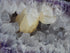 Amethyst Crystal Cluster Geode, Crystal Amethyst Cluster Geode Display, Geode Amethyst Crystal Cluster