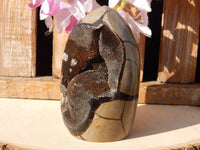 A++ Quality Septarian Dragon Crystal Stone Free Form, Septarian Stone Free Form, Polished Septarian Dragon Stone Free Form, Crystal form