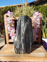 Petrified Wood Free Form Display, Free Form Petrified Wood Display, Petrified Wood Home Decor