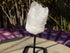 Clear Crystal Quartz Point Cluster on stand, Crystal Point Cluster, Quartz Crystal Point, Clear Quartz Crystal Point Cluster, Crystal Quartz