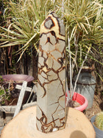 A++ Quality Septarian Dragon Crystal Stone Obelisk