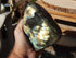 Labradorite Free Form Display, Polished Labradorite Crystal Free Form, Labradorite Protection Free Form Crystal, Free Form Labradorite Stone